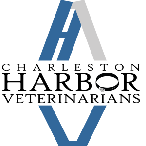 harbor veterinary clinic